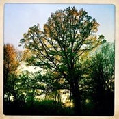 Stephen Carrolls foto