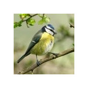 Janet Lillis's photo