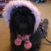 Nikki Taylor's photo