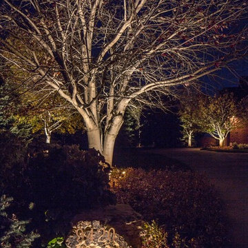 After: LED Landscape Lighting