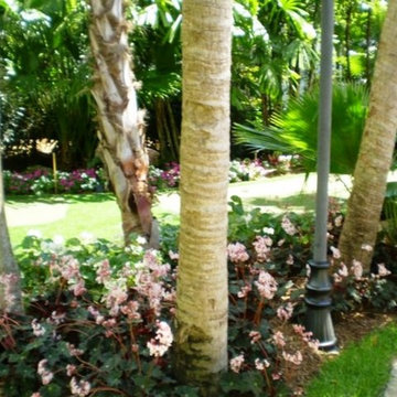 MIAMI LANDSCAPING DESIGN