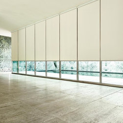 Roller Shades - Roller Shades