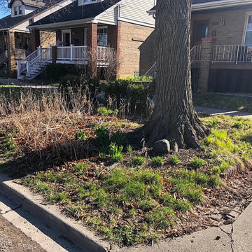 Front Yard Before & After (BEFORE)