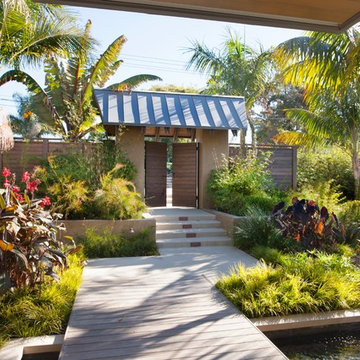 Tropical Paradise