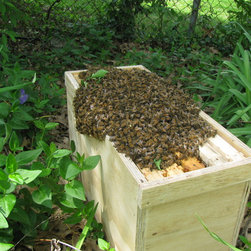 Swarm Rescue - Products