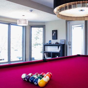 Basement Renovation