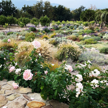 Mixed Mediterranean Ojai Home