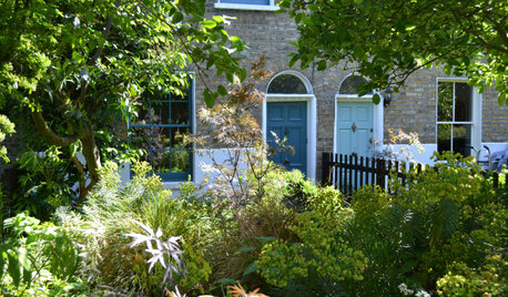 Garden Tour: A City Front Garden With a Wild, Rural Feel