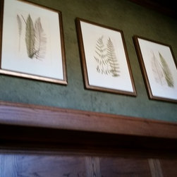 Transitional British Fern Prints - Fine Art Prints