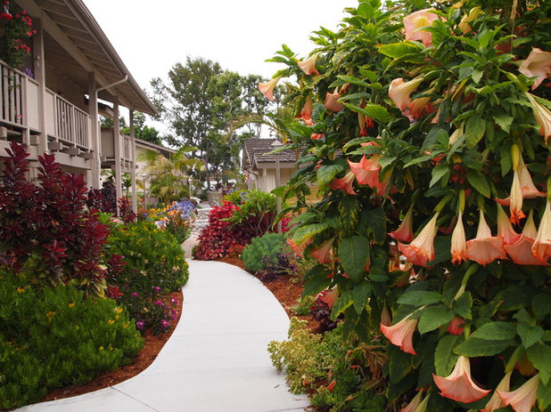 Tropical Landscape by Waterwise Botanicals