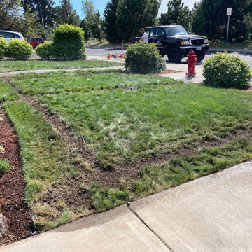 Residential high efficiency sprinkler system install