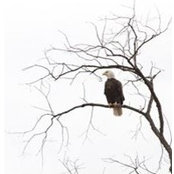 Jamie Mitchell's photo