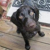 Wendy Dowey's photo