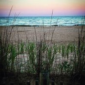Beth Perdue's photo