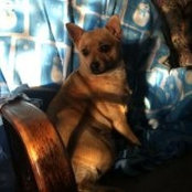 Suzanne King's photo