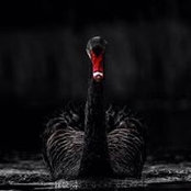 Yao Mingxu's photo