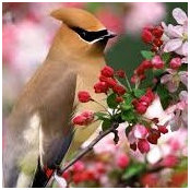 Kimberly Kline's photo