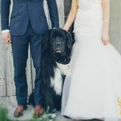 Kyle Fredrickson's photo