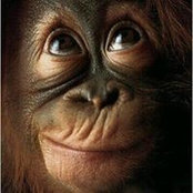 Foto de Chip Simonds