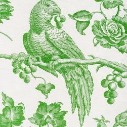 Bird Prints - Drapery Fabric