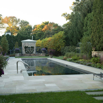Lake Forest Project