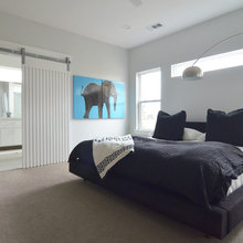 Abie Barn Door Ideas