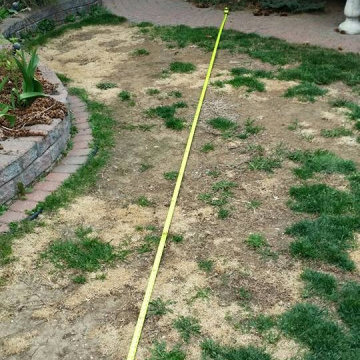 Synthetic Artificial Turf Grass Dog Yard Make Over Lethbridge 2013