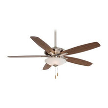 Family room ceiling fan