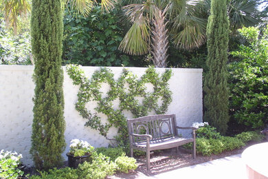 Design ideas for a mid-sized traditional backyard full sun formal garden for summer in Charleston.