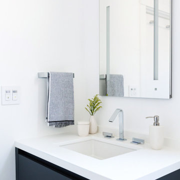 Inner Richmond Modern Bathroom