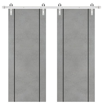 Sturdy Double Barn Door 60 x 96 with | Planum 0016 Concrete with  | 13FT