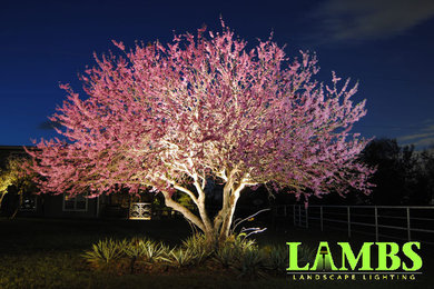 Inspiration for a rustic landscaping in Dallas.