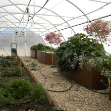 Greenhouse