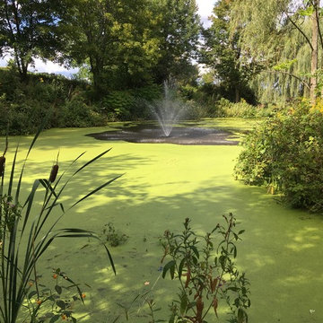 Pond Weed Removal