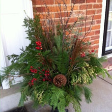 winter container