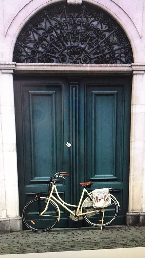 Painting Mahogany doors