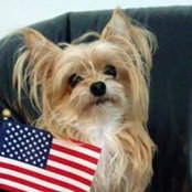 Phyllis Madden Cavanaugh's photo