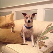 Ruth Ross's photo
