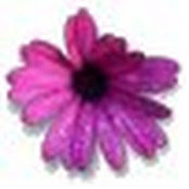 Sydney Woods's photo