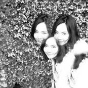 Un Papavarin's photo