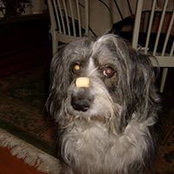 Sarah Hermansson's photo