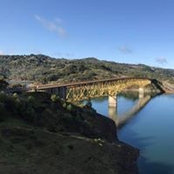 Benjamin Wong's photo