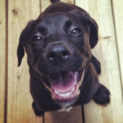 Sonya Cisneros's photo