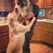 Erica Shorr's photo