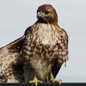 June Jorgenson's photo