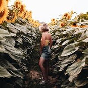 Amanda Burton's photo