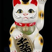 Nancy Kobata's photo