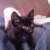 Mary Beth Riordan's photo