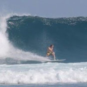 Adrian Newton's photo