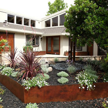 Landscape Ideas